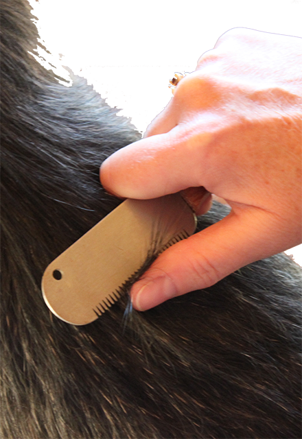 Hand Stripping